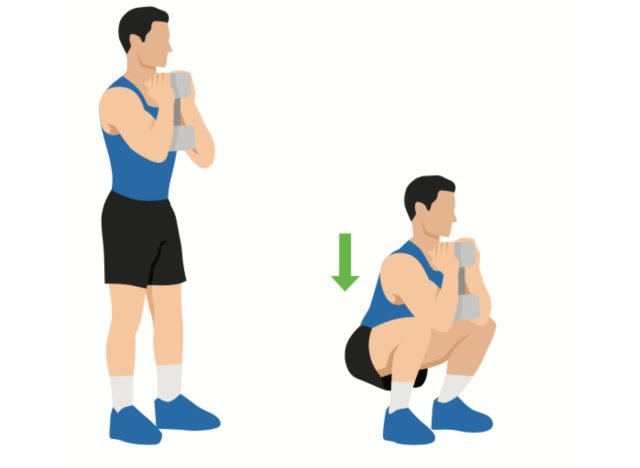 illustration of dumbbell goblet squats